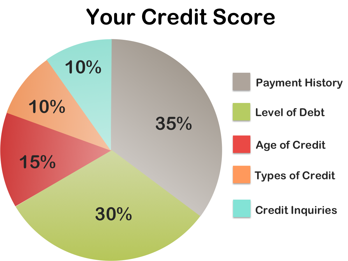 What Are 5 Factors That Affect A Credit Score Hobi Akuarium